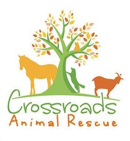 Crossroads Animal Rescue